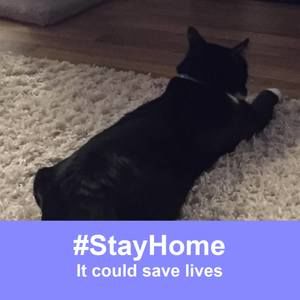 Meet your Posher, Cal